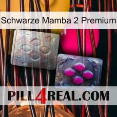 Black Mamba 2 Premium 38